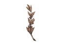 Bronze-Kranz mit Weide für Grabmal, 28×6 cm