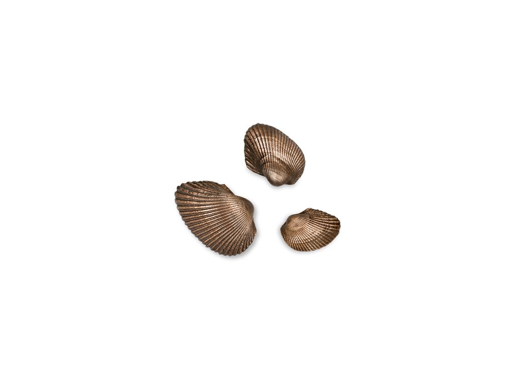 Bronzová mušľa na náhrobok, 2×3 cm až 4×5,5 cm