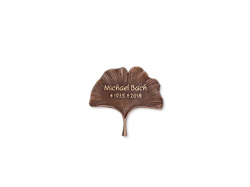 [ST-SK-31536] Bronzová doska s motívom Ginkgo, 13×13 cm
