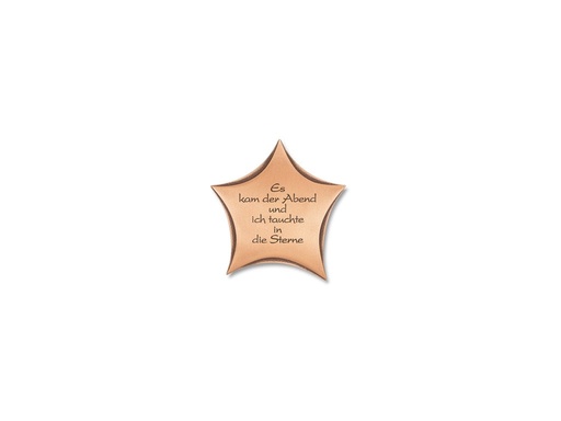 [ST-SK-31553] Náhrobná doska s motívom hviezdy a gravúrou, 13×12,5 cm