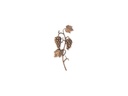 Náhrobný reliéf Vinný list, bronz, 34×14 cm
