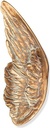 Bronzové krídlo na náhrobok, 15×6 cm