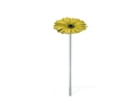 Bronzová gerbera na náhrobok, Ø 6–8 cm