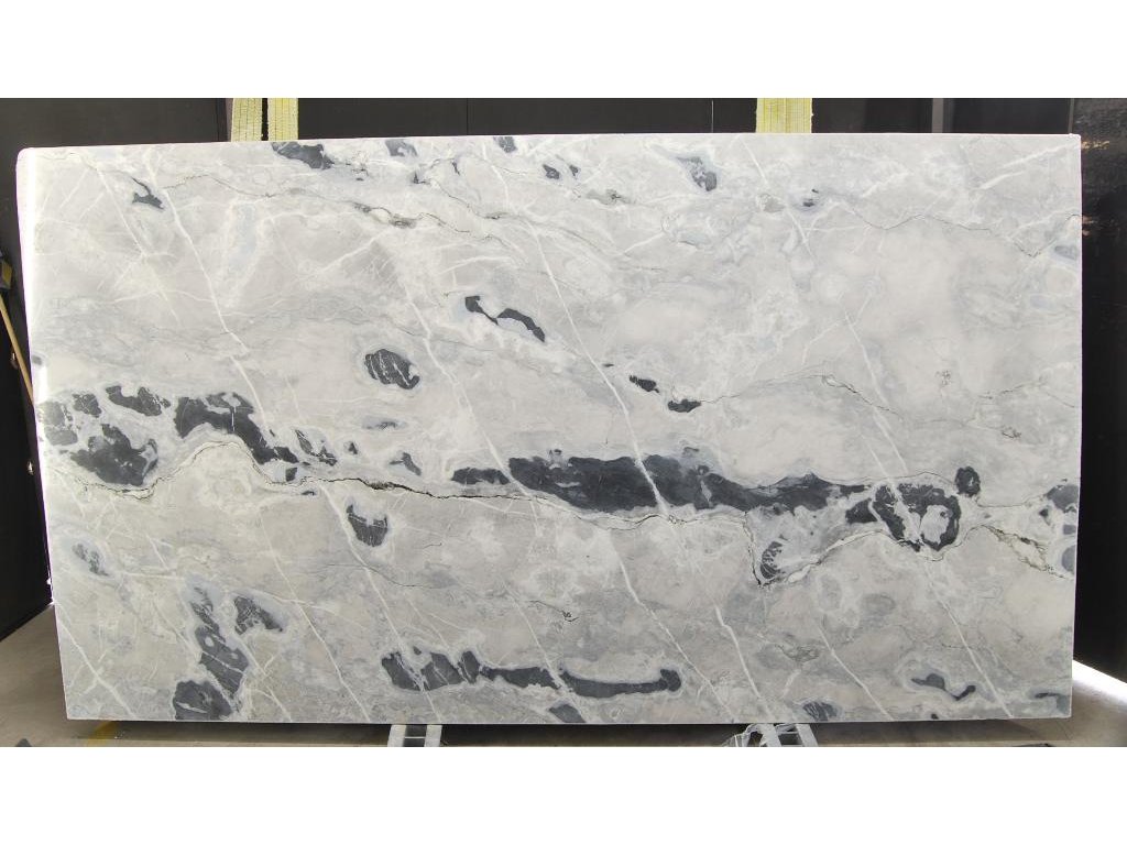 APPALOOSA WHITE