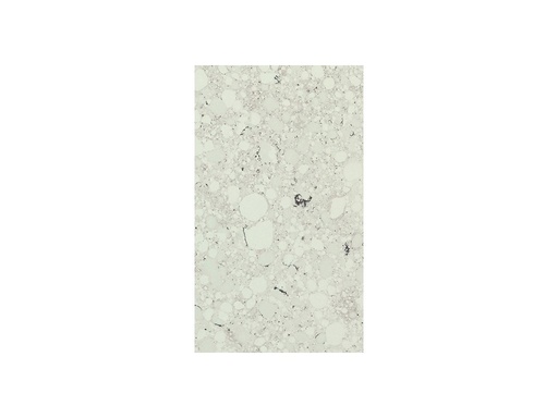 QUARELLA BIANCO APUANO (1,2 cm výrobok)