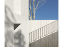 Dekton Taj Mahal