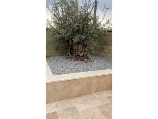 [4184] Travertin Light Mix Fliesen 61 × 40,6 x 3 cm
